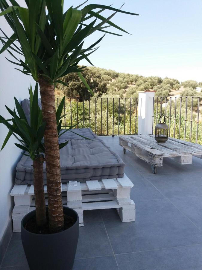 Junior Suite with Terrace