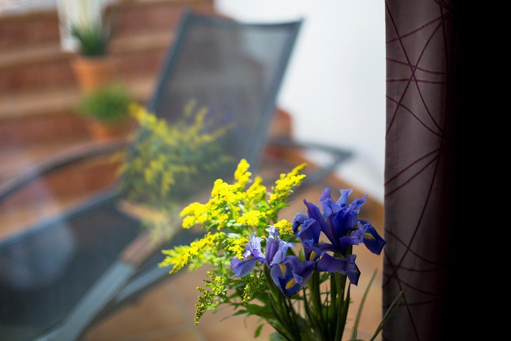 Double or Twin Room with Terrace,399203376:JPEG