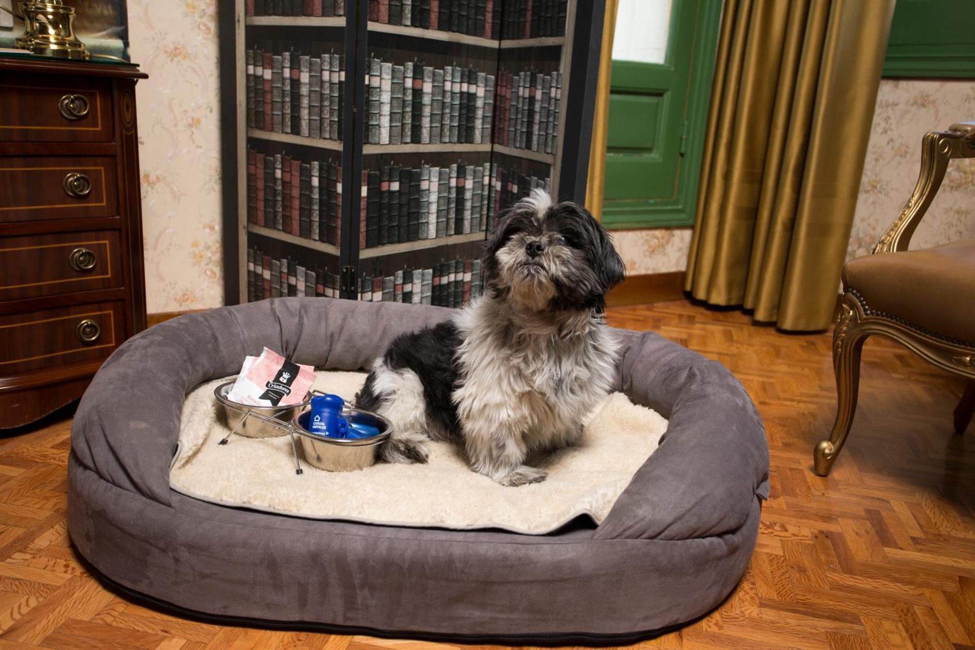 Twin Room,1388643209:JPEG