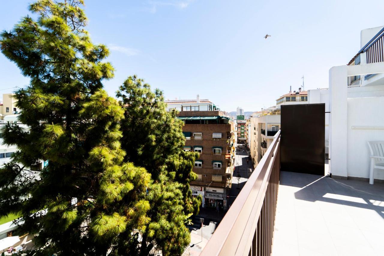 Single Room Terrace,1498979749:JPEG