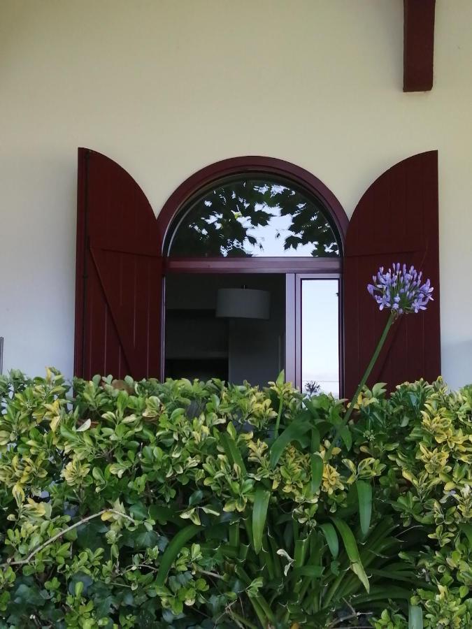 Double or Twin Room with Private Bathroom