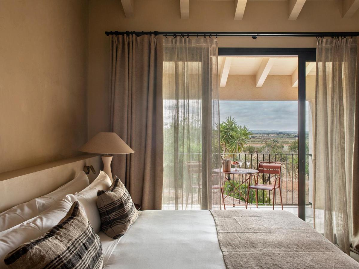 Suite Terrace,1487961439:JPEG