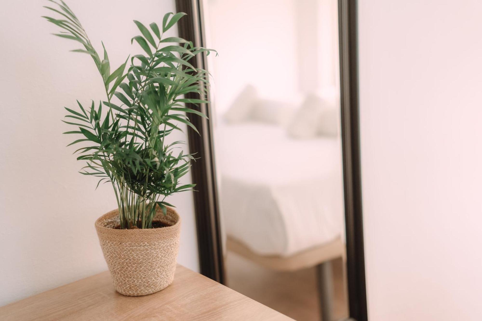 Triple Room Private External Bathroom