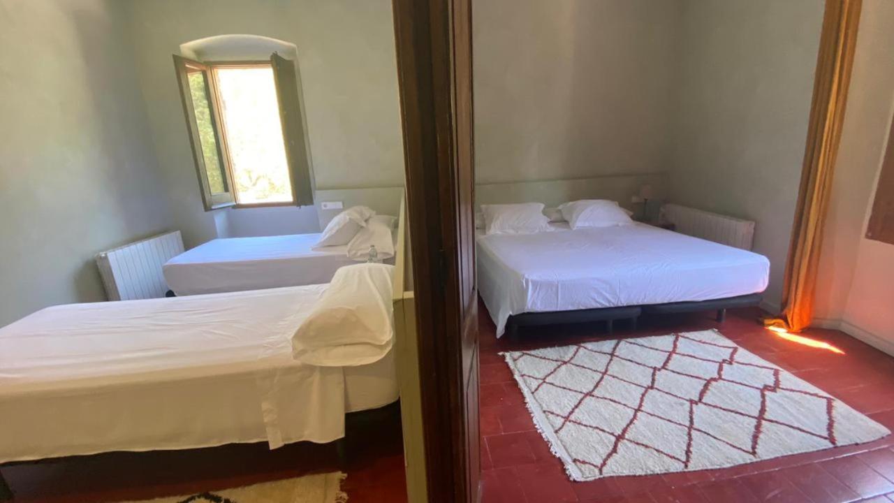 Comfort Quadruple Room