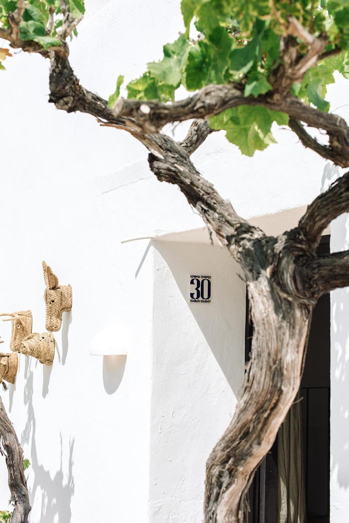 Two-Bedroom Suite,1569190055:JPEG