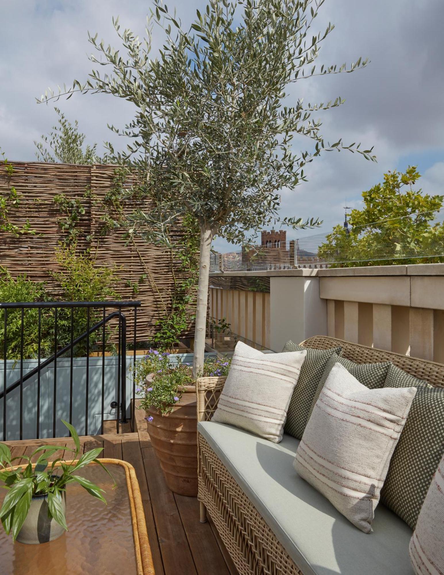 The Junior Terrace Suite
