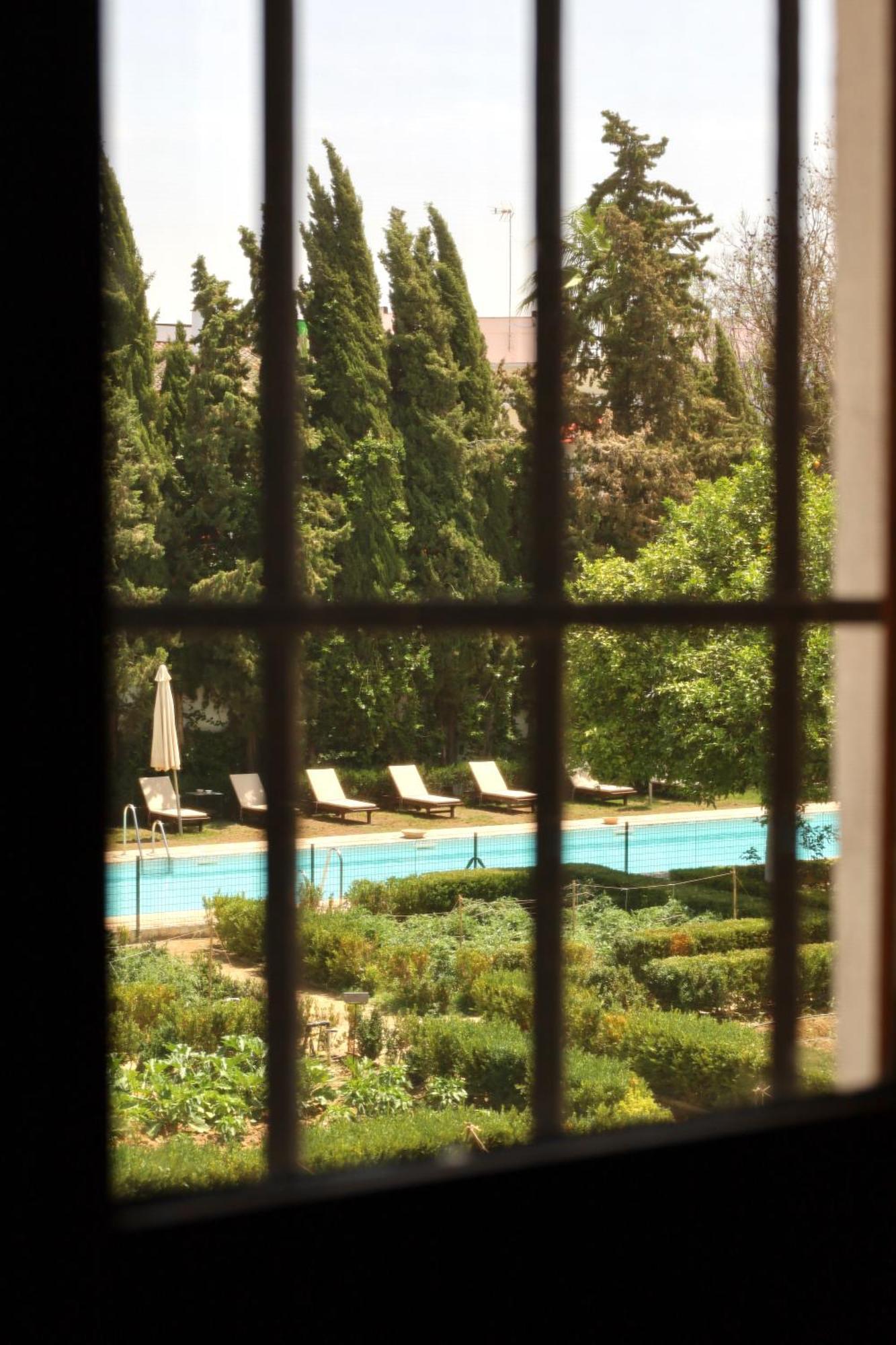 Superior Double Room,1704842661:JPEG