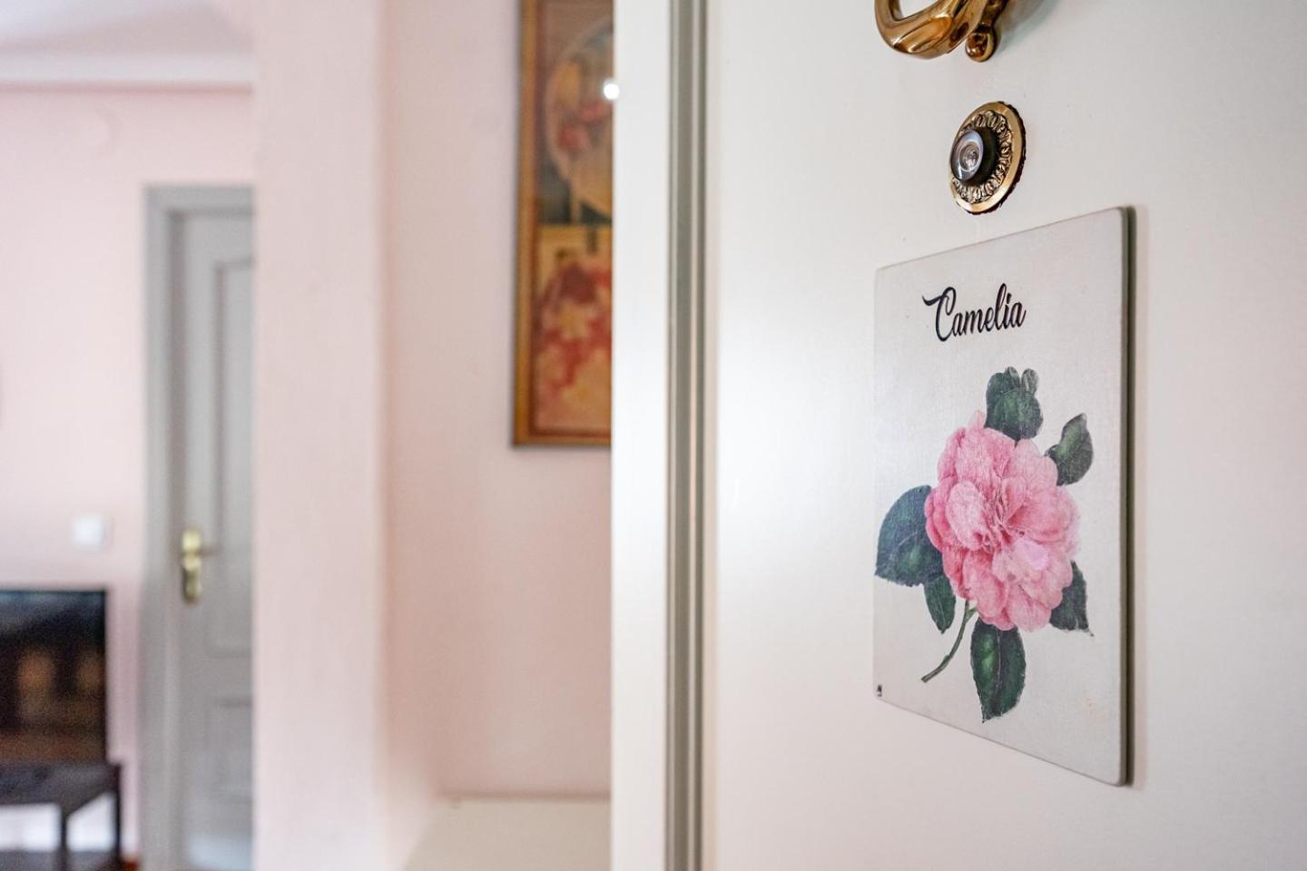 Apartamento Deluxe de 1 dormitorio