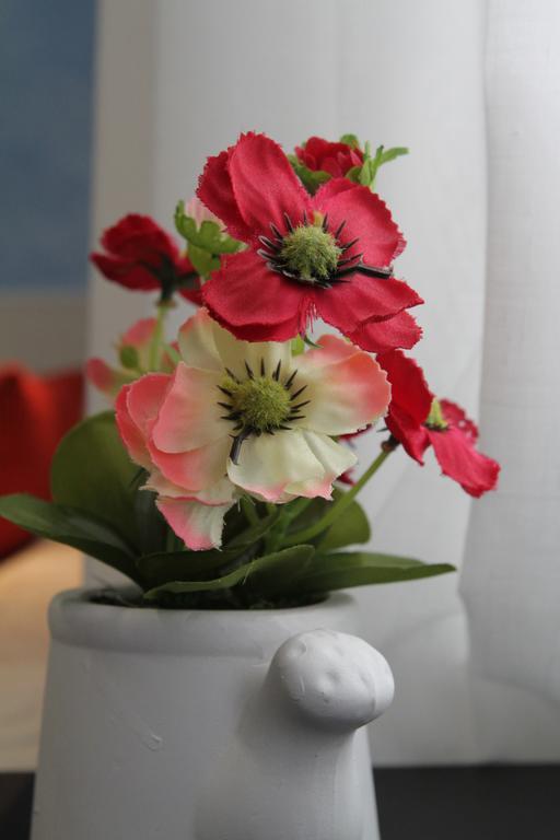 Deluxe Double Room with City View,224164304:JPEG