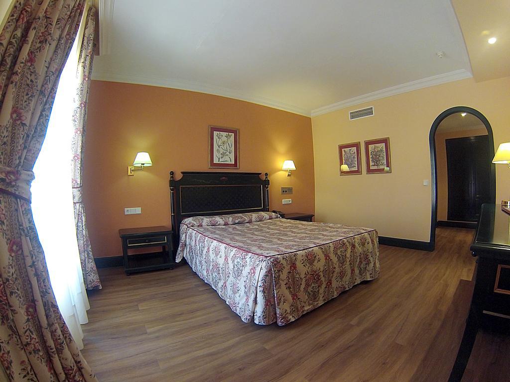 Double or Twin Room,449178057:JPEG