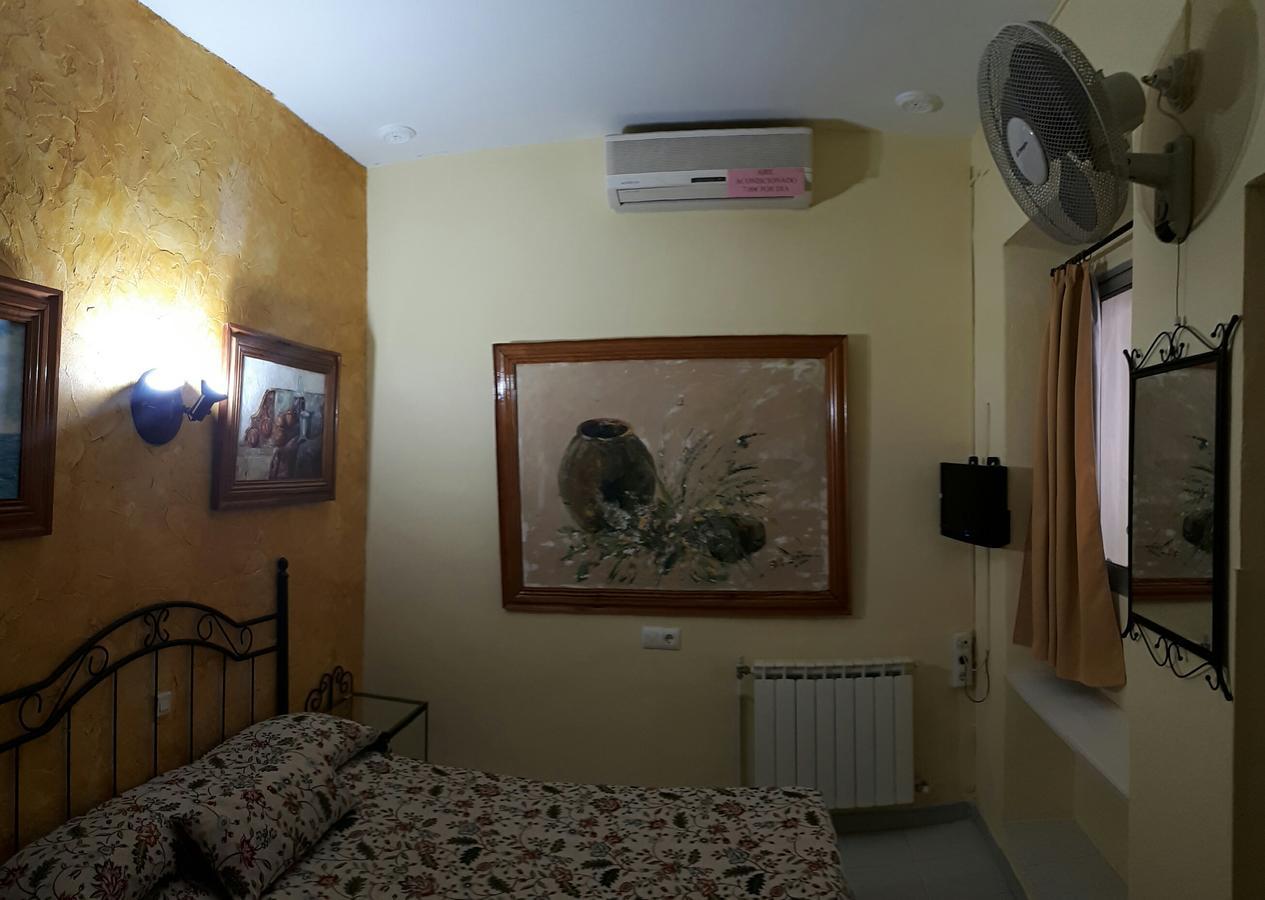Single Room Patio View,1663036880:JPEG