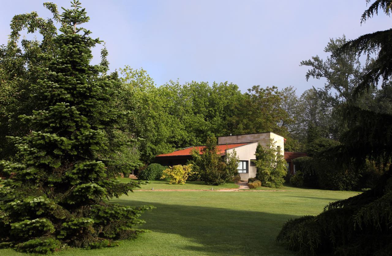 Suite Jardín