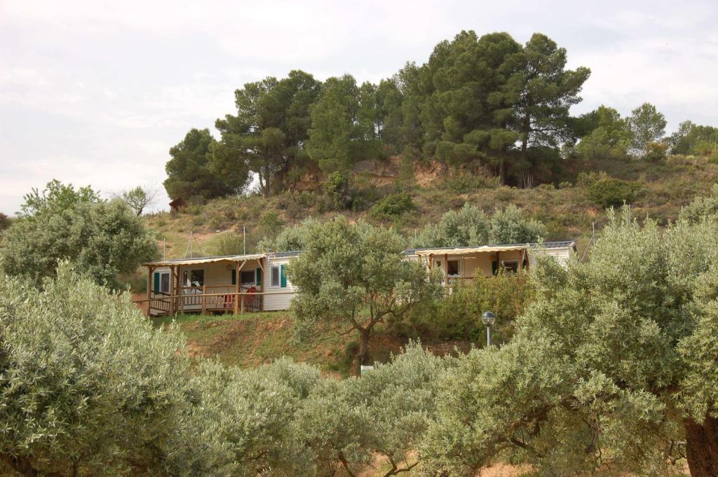 Mobile Home