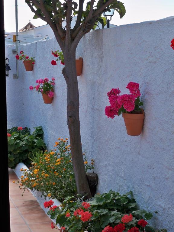 Three-Bedroom Apartment (6-8 Adults),66735397:JPEG