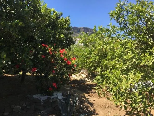 La Hermosa Vista-1