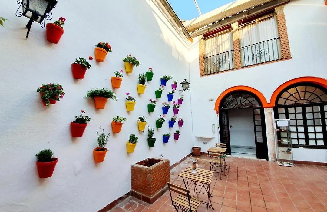 Arc House Córdoba Only Adults-1