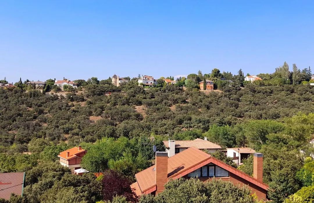 Oasis Sierra-1