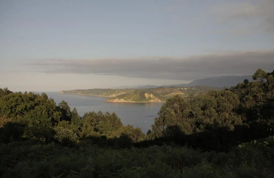 El Faro Unkempt - Tazones-1