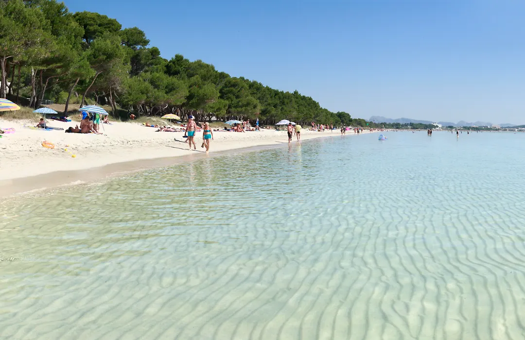 Js Sol De Alcudia-1