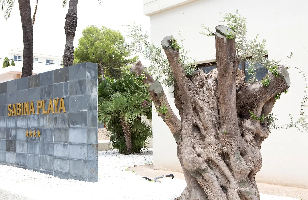 Hotel Sabina Playa (Adults Only)-1