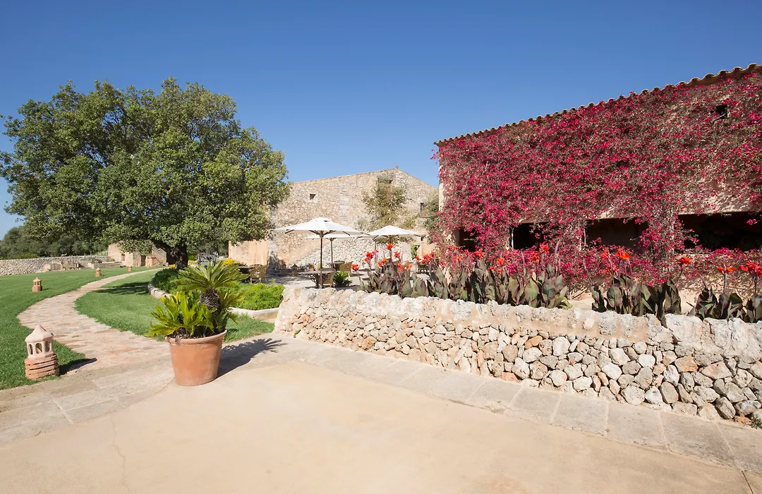Hotel Son Cosmet-1