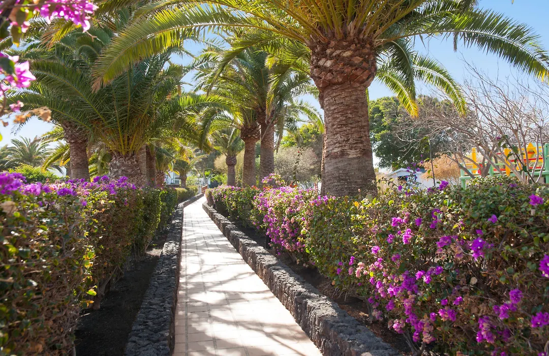 Relaxia Olivina-1