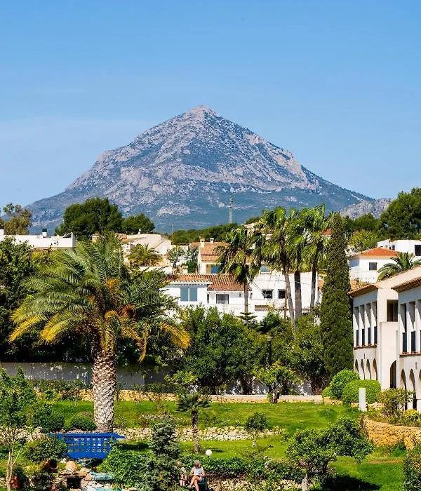 Alfas Oasis-1