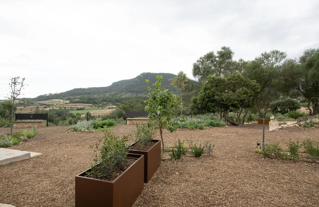 Fincahotel Treurer - Olive Grove & Grand House - Adults Only-1