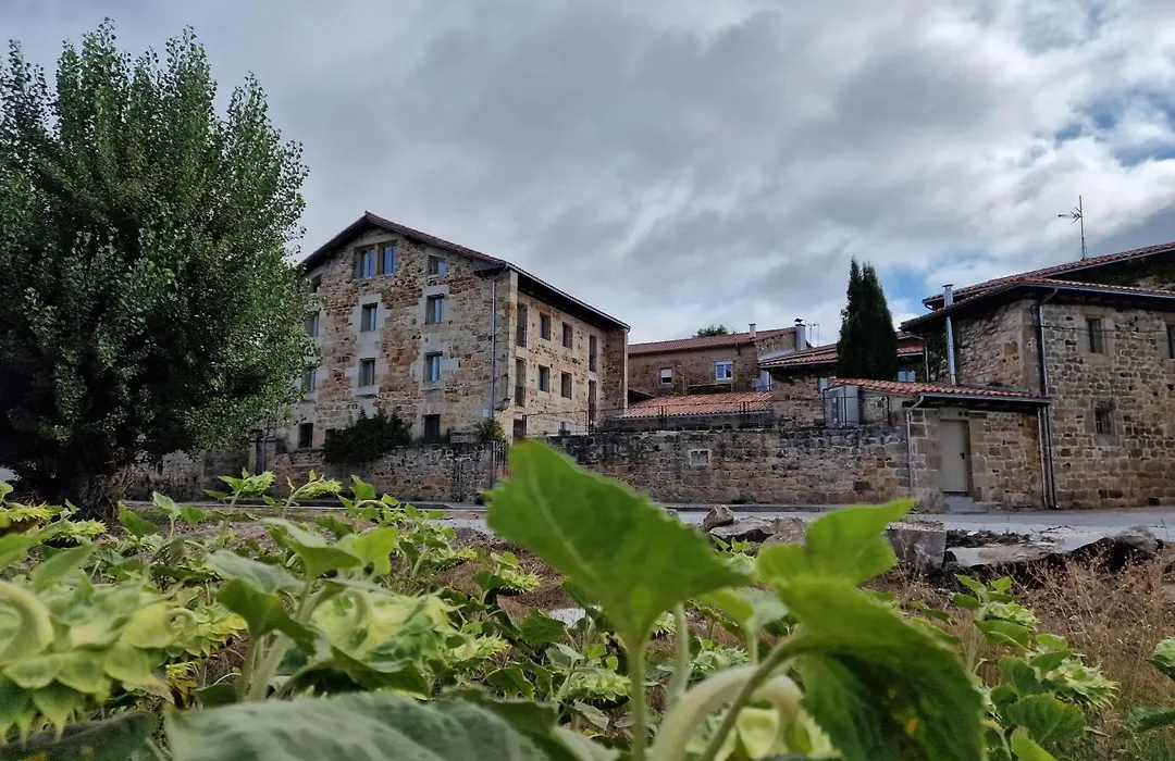 Maison Barón de la Galleta B&B-1