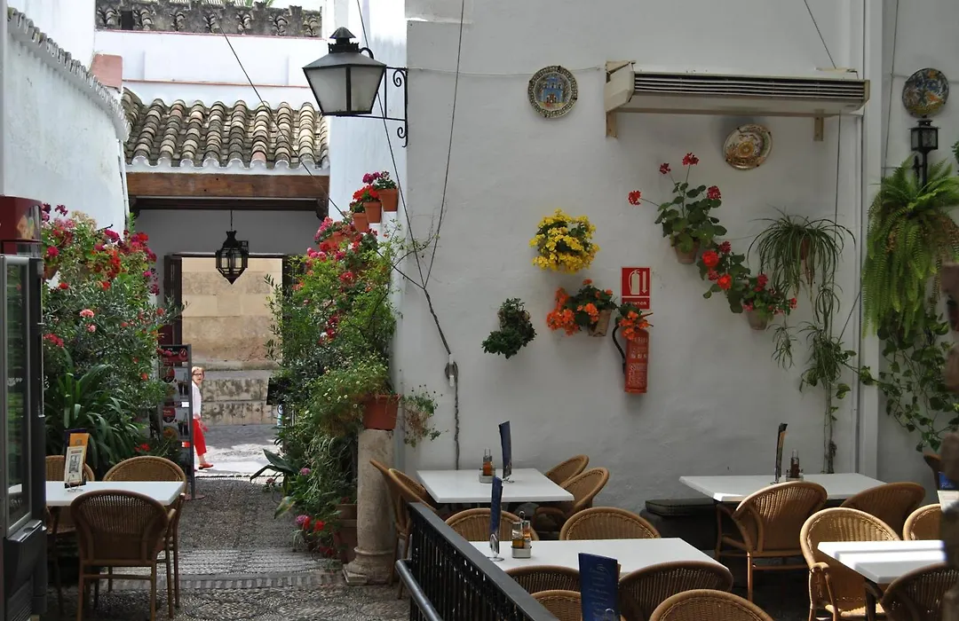 Los Patios-1