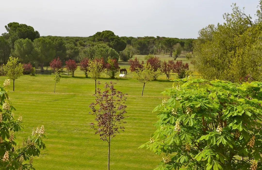 Posada Real del Pinar-1