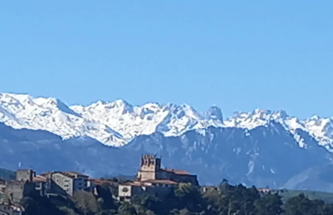 El pucheru 4 Almas-1
