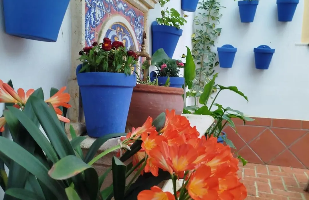 Hotel La Ribera-1