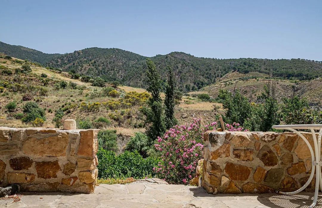 El bufon de la corte-1