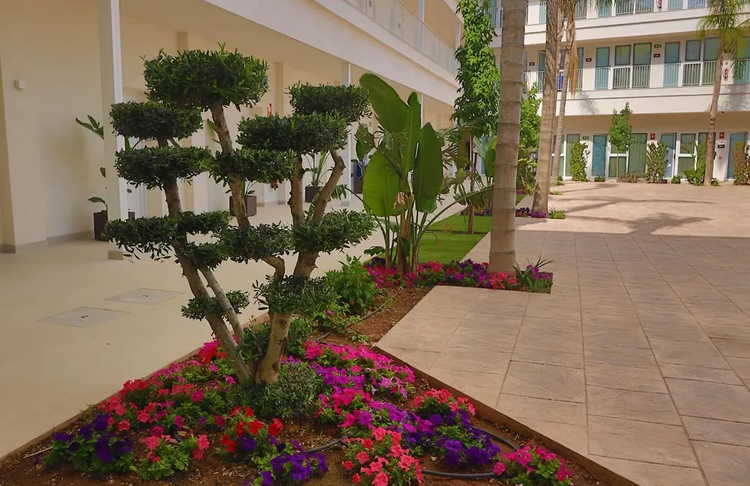 Sh Campus Lyceum-1