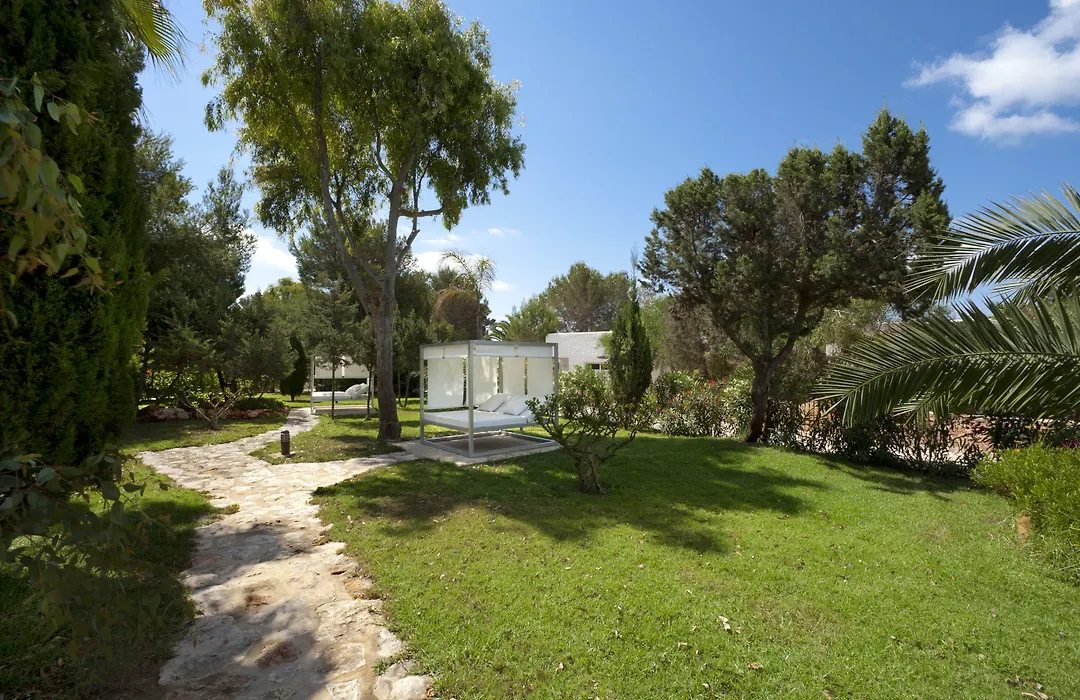 Paraiso De Los Pinos-1