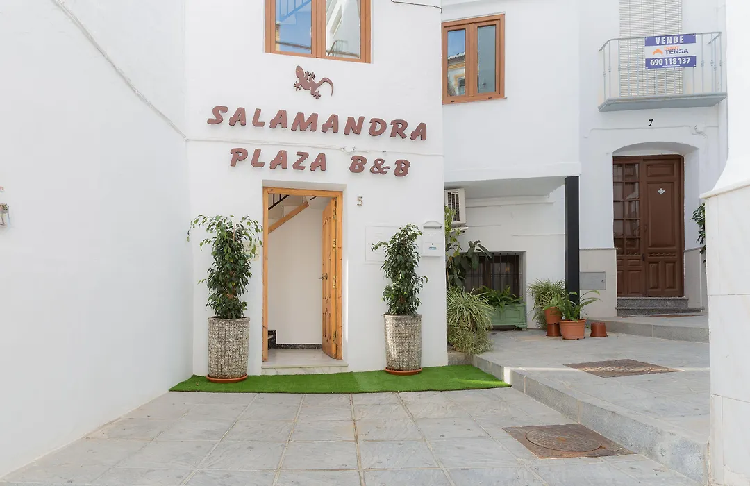 Salamandra Plaza-1