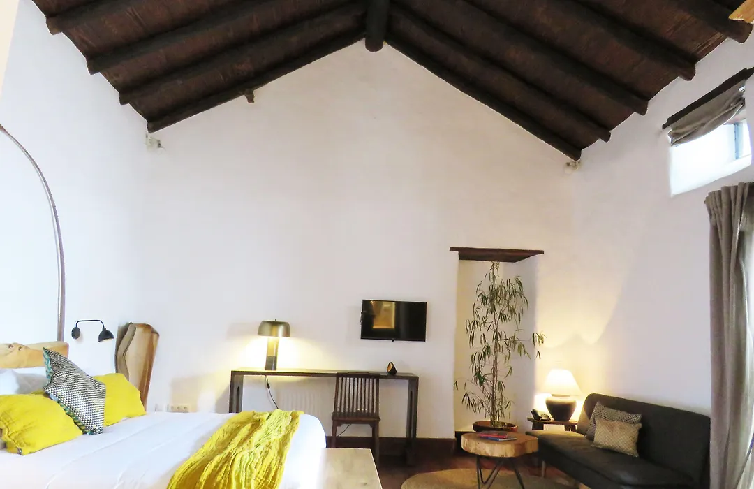 Hotel Boutique Palacio Ico - Only Adults-1