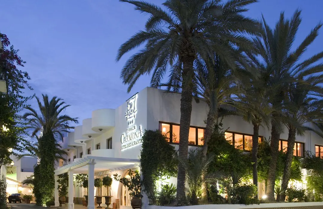 Hotel Terraza Carmona-1