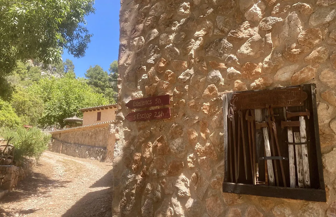 Finca Ses Fontanelles-1