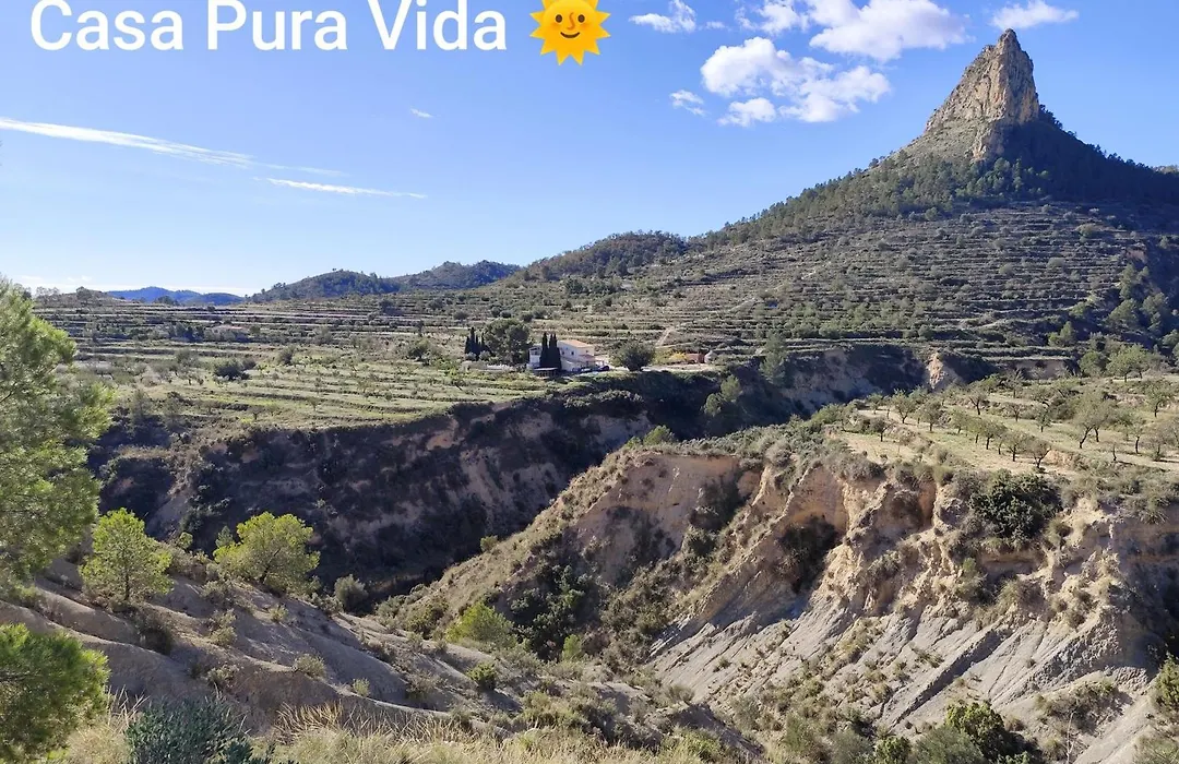 Casa Pura Vida-1