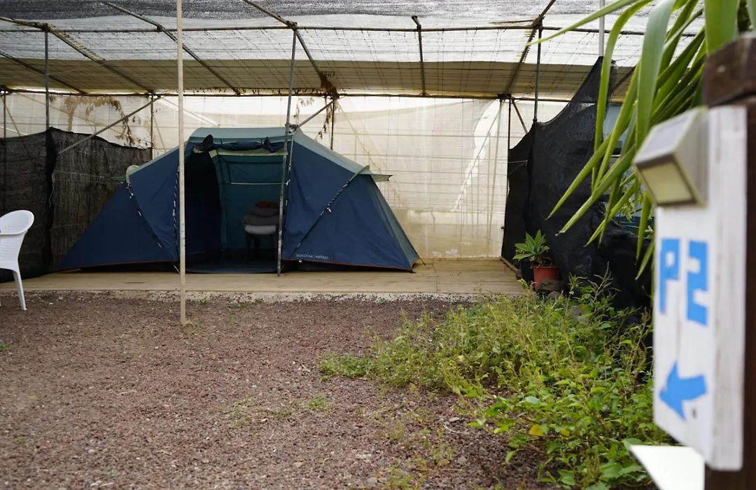 Agrocamping Invernaderito-1
