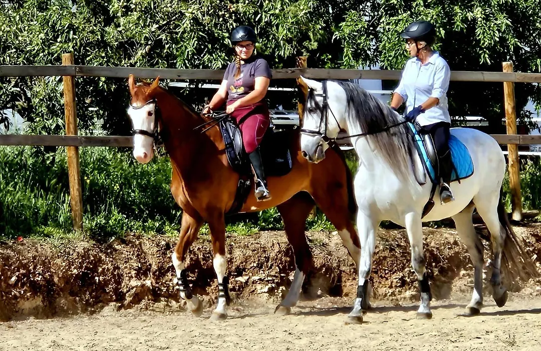 Cortijo Carrillo-1