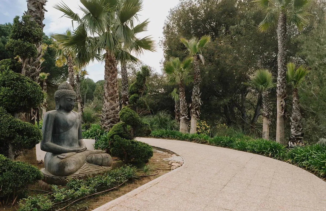 Shanti Som-1