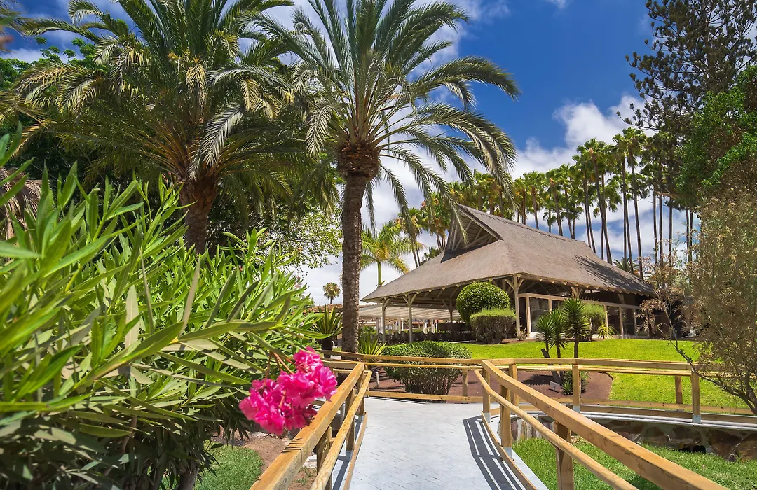 Barcelo Margaritas Royal Level Adults Only-1