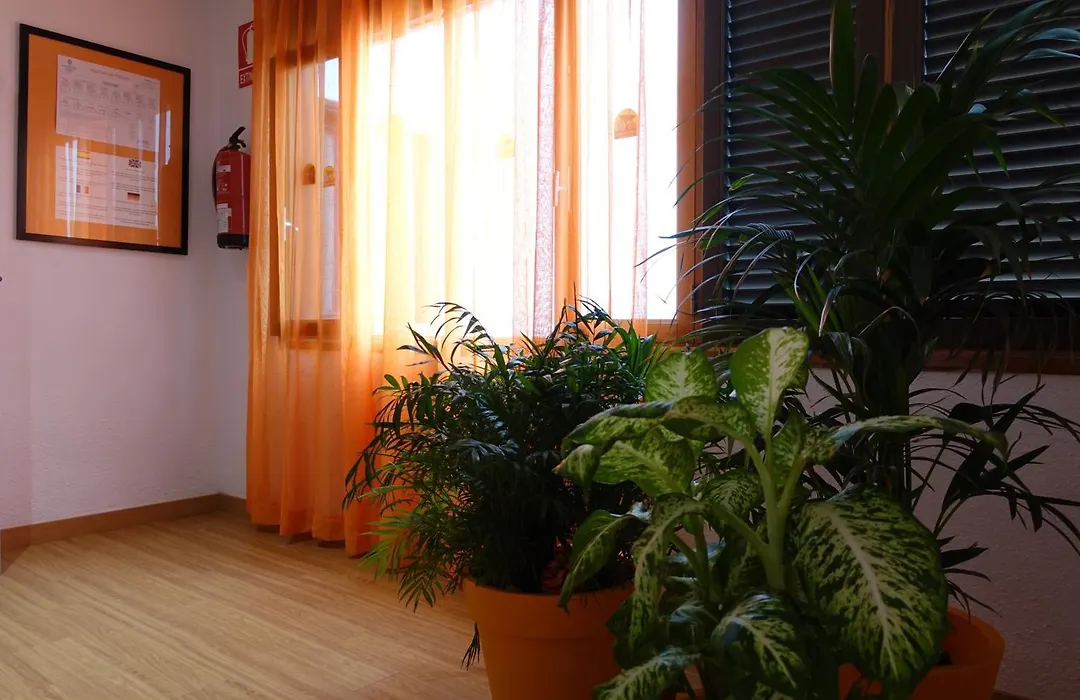 Hotel Andrea'S-1