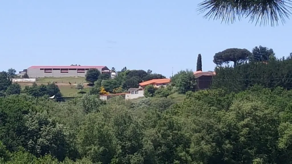 Casa Felisa Marcelle-1