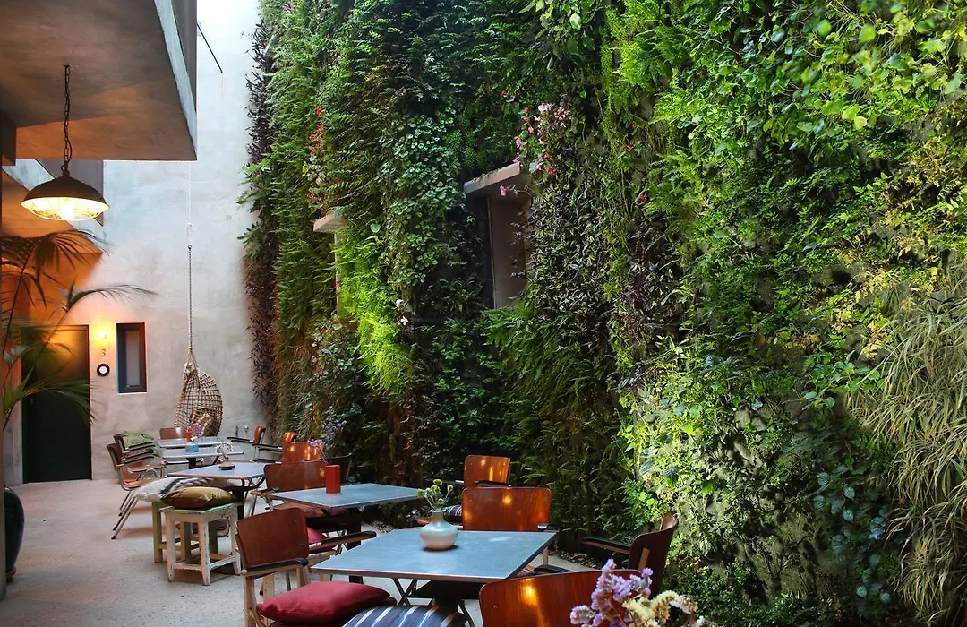 Kook Hotel Tarifa-1
