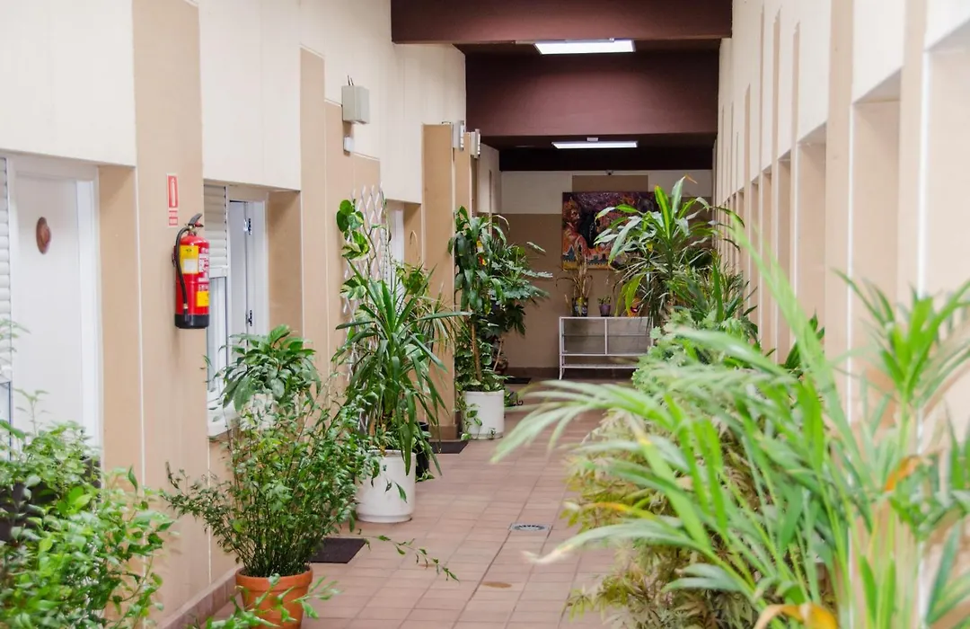 Ciudad de Alcala-1