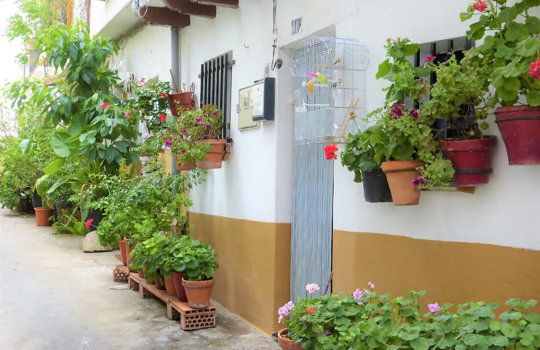 Hostal Candeleda-1